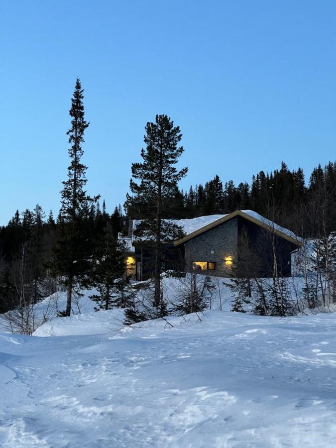 Brand New Cabin On The Sunny Side Of Gaustatoppen With A Great View Tuddal Ngoại thất bức ảnh