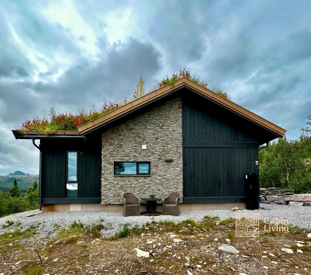 Brand New Cabin On The Sunny Side Of Gaustatoppen With A Great View Tuddal Ngoại thất bức ảnh
