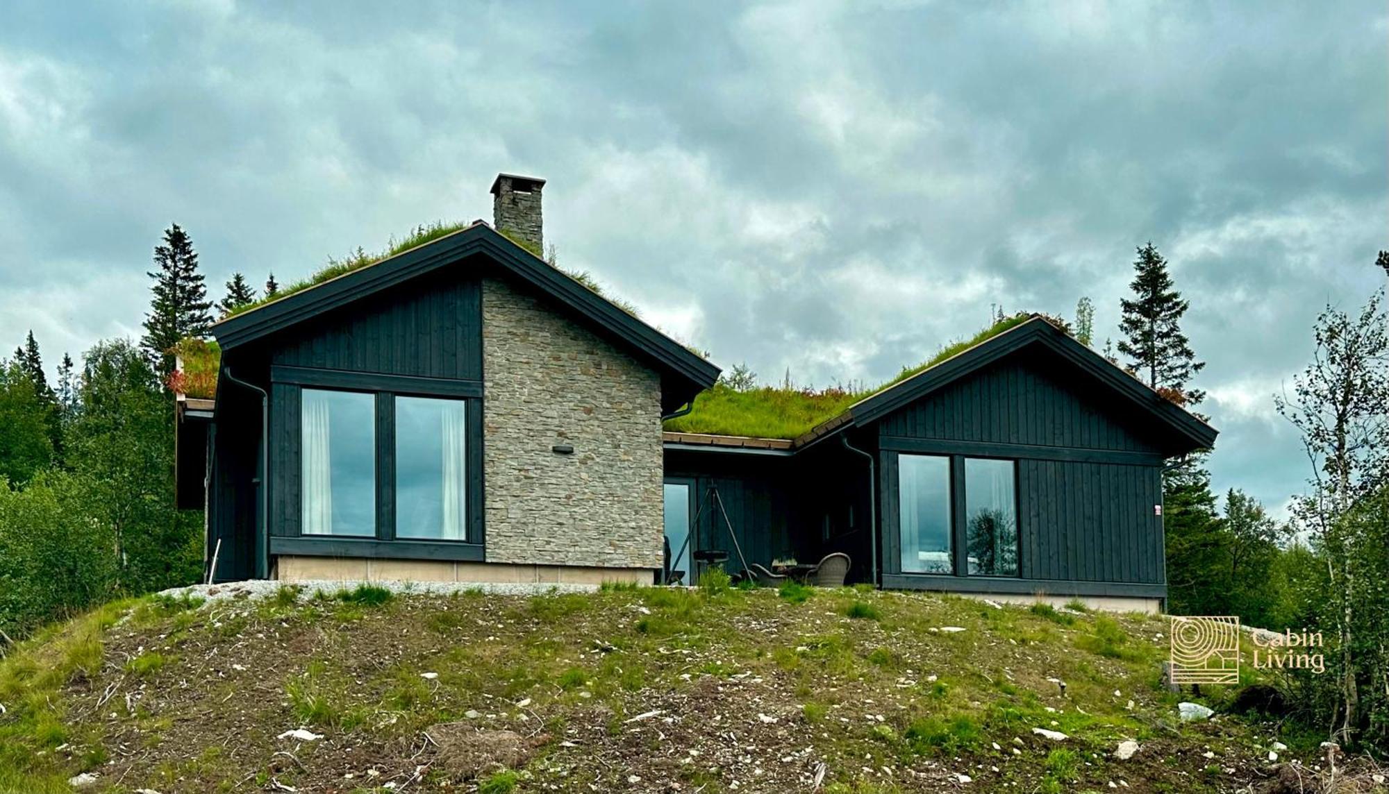 Brand New Cabin On The Sunny Side Of Gaustatoppen With A Great View Tuddal Ngoại thất bức ảnh