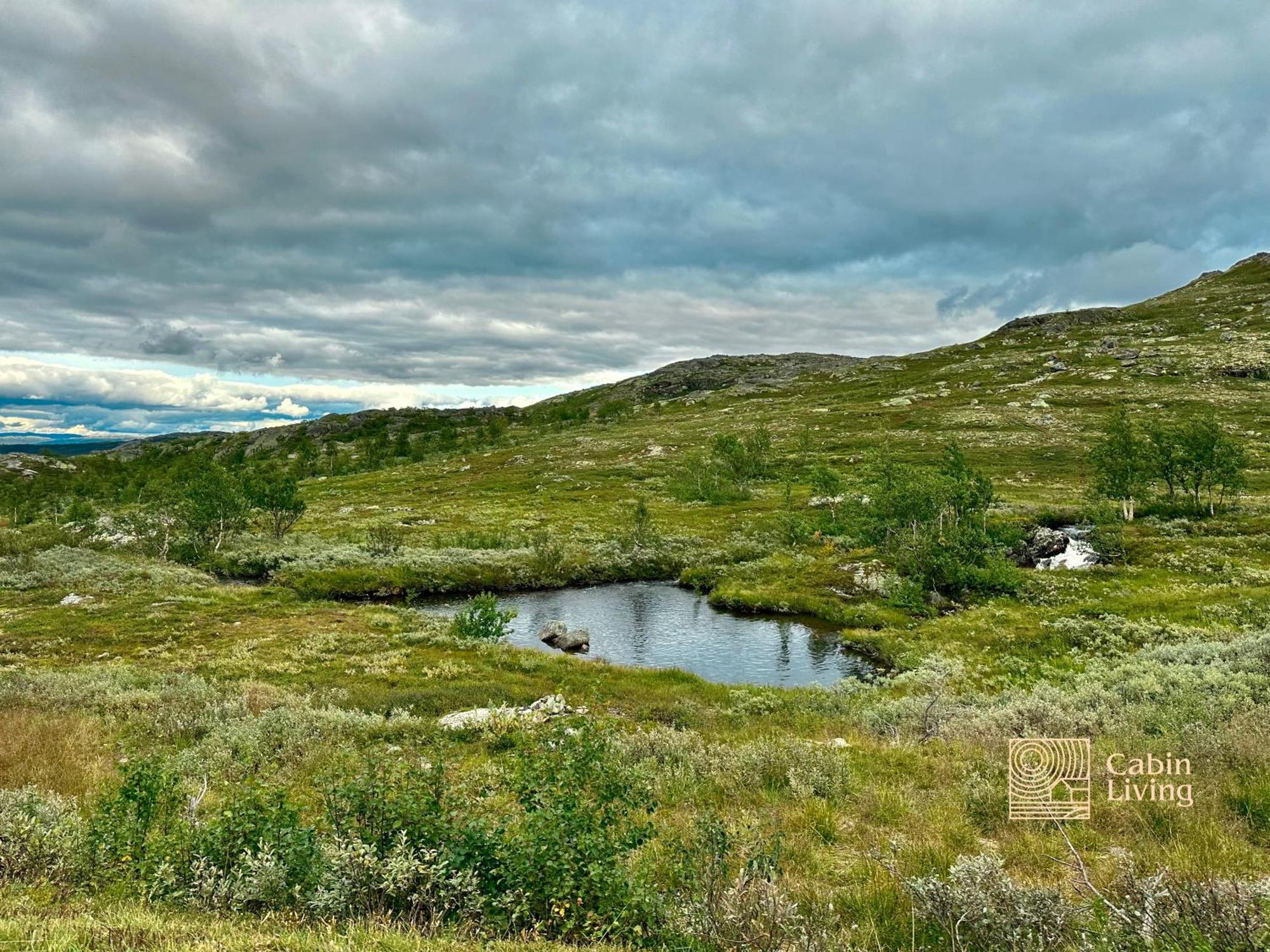 Brand New Cabin On The Sunny Side Of Gaustatoppen With A Great View Tuddal Ngoại thất bức ảnh