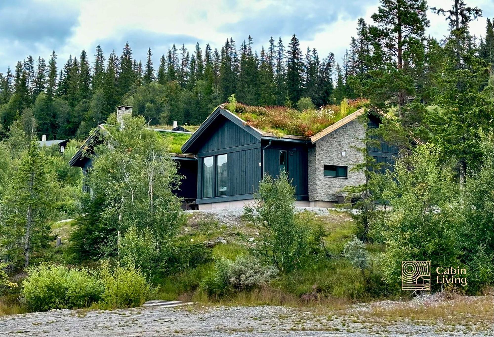 Brand New Cabin On The Sunny Side Of Gaustatoppen With A Great View Tuddal Ngoại thất bức ảnh